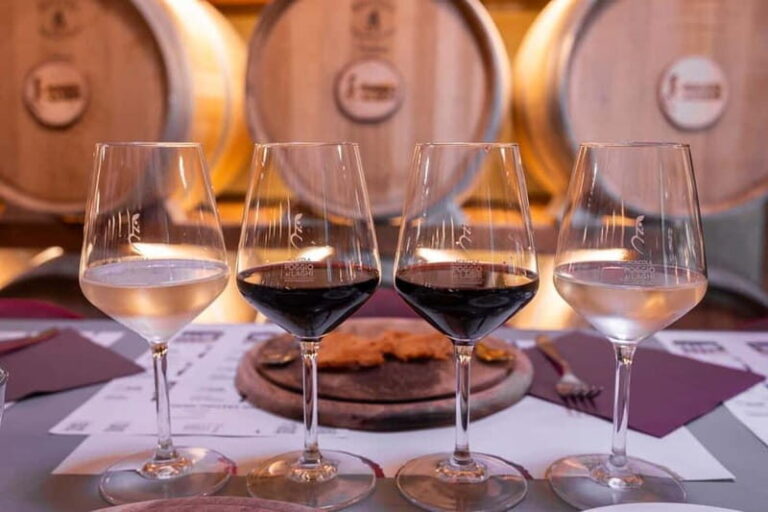 Chianti: Tasting of Wines, Oils & Vinegars Classic - The Value and Practicalities