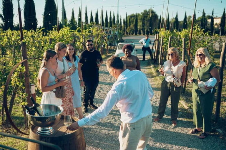 Chianti: Tuscan Vineyard Dinner with Wine Tasting - A Closer Look at the Experience