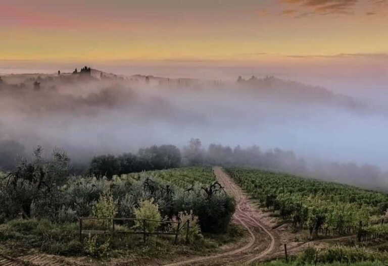 Chianti Wine Tour included meal & tasting at Winery (6hrs) - Why This Tour Offers Good Value