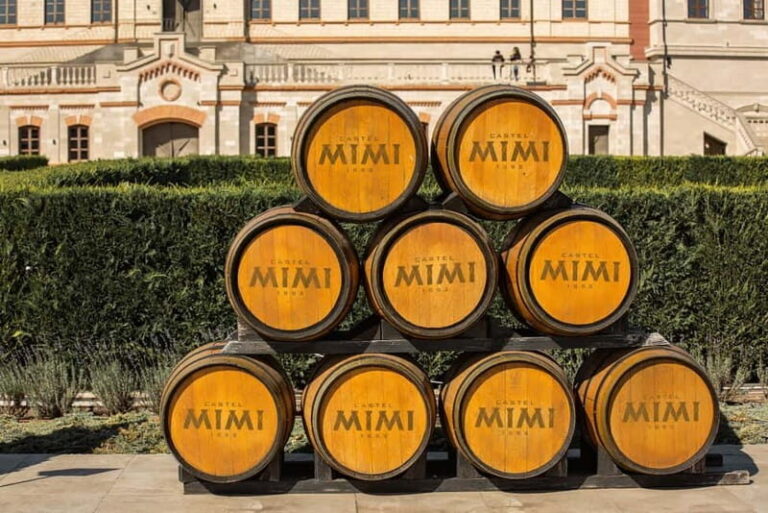 Chiinu & Castel Mimi Wine Tour  With Wooden Monastery - What to Expect at Each Stop
