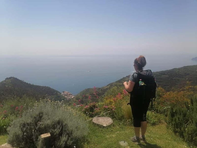 Cinque Terre Villages Walking panoramic tour - The Itinerary in Detail