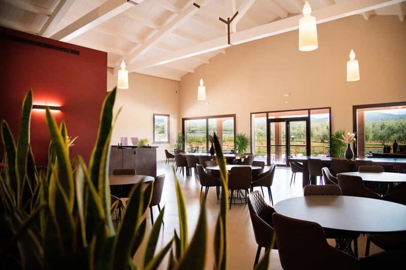 Cioccaie Tour & Monovarietal Wines Tasting - A Closer Look at the Itinerary