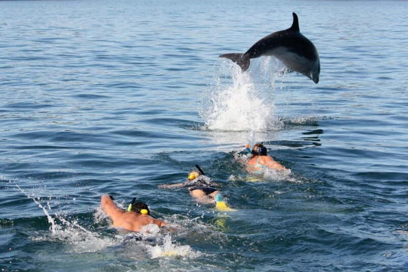 City Of Side: Dolphin Island Boat or Side Boat Tour Options
