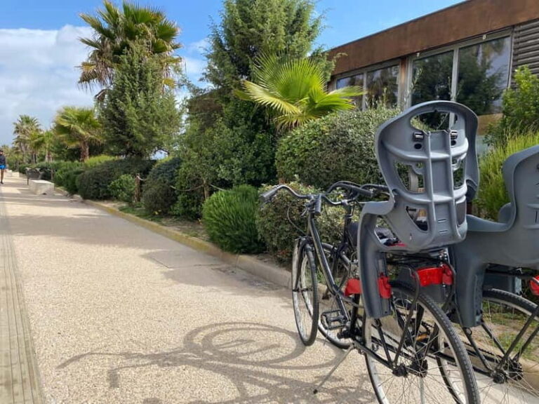 CITYBIKE/ easy Classic FOR 24 hours with Free delivery! - Who Should Consider This Experience?