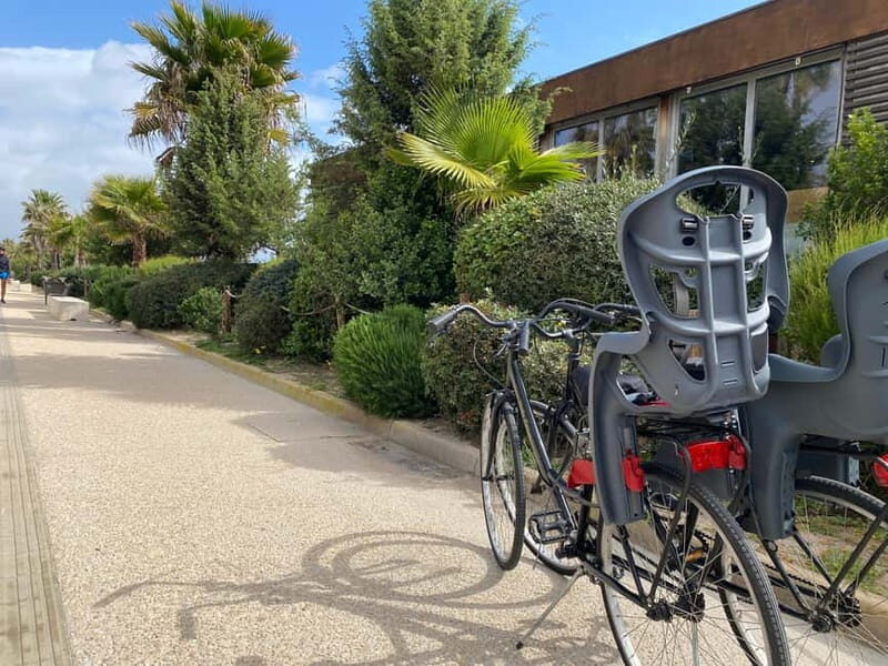 CITYBIKE/ easy Classic FOR 24 hours with Free delivery! - Who Should Consider This Experience?