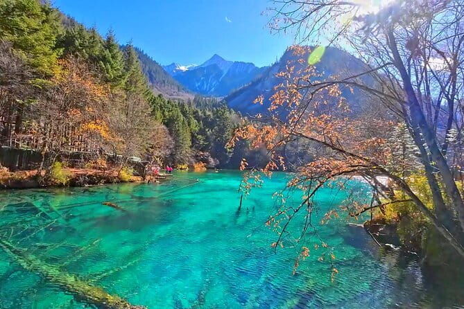 Classic 3-Day Jiuzhaigou Private Tour(Transportation+Tickets) - An Honest Look at the 3-Day Jiuzhaigou Private Tour