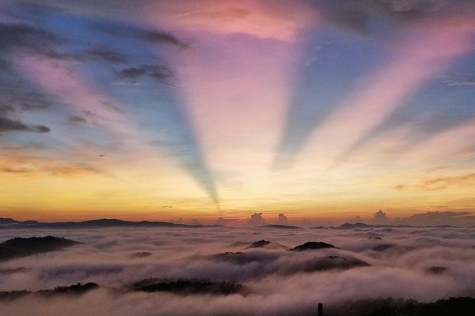 Cloud Chasing packaged hike - Sunrise, Nature and Wellness - Discover the Magic of Da Lat’s Sunrise Through the Cloud Chasing Hike