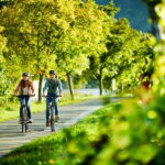 Cochem: Bike and Boat Tour with Picnic and Wine Tasting - Who Will Love This Tour?