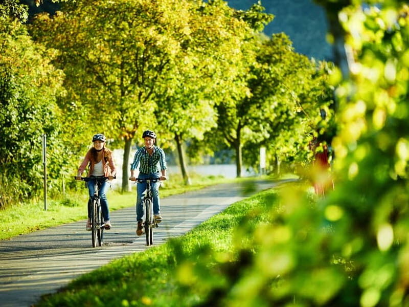 Cochem: Bike and Boat Tour with Picnic and Wine Tasting - Who Will Love This Tour?