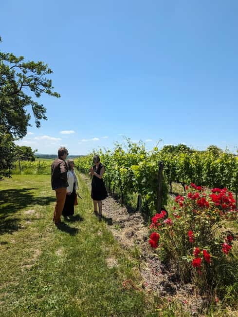 Cognac guided tour of the vineyard and visit/tasting at a winemaker's estate - What Sets This Tour Apart