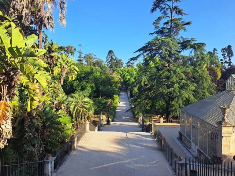 Coimbra Botanical Garden Tour: Storytelling Through Nature - The Itinerary in Detail