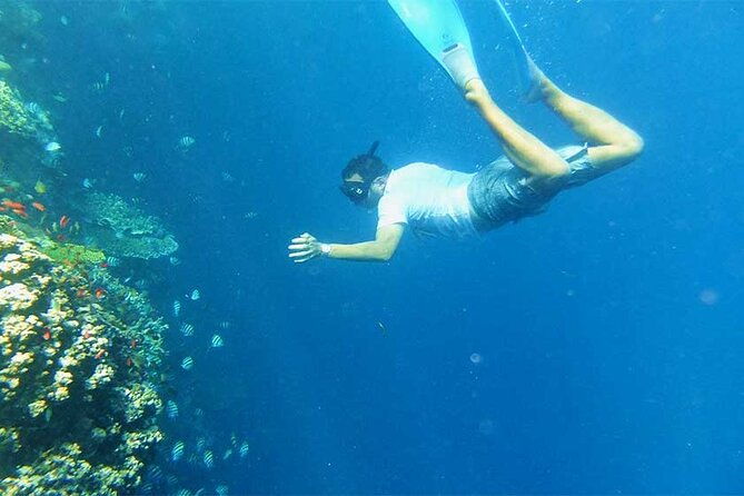 Combination Tour: Ayung river rafting With Blue Lagoon Snorkeling - A Complete Guide to Bali’s Natural Adventure: Ayung River Rafting & Blue Lagoon Snorkeling