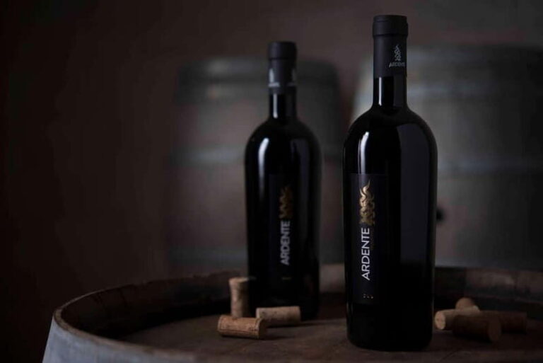 Conversano: wine tasting tour in the winery - A Closer Look at the Winery Experience in Conversano