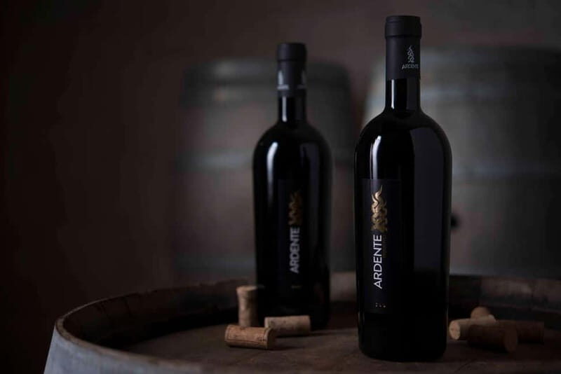 Conversano: wine tasting tour in the winery - A Closer Look at the Winery Experience in Conversano