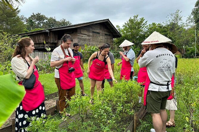Cooking Class with Organic Farm in Chiang Mai - Authentic Thai Cooking Experience at an Organic Farm in Chiang Mai