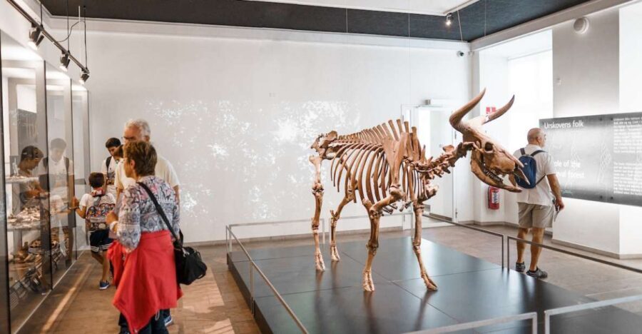 Copenhagen: National Museum of Denmark Entry Ticket - Why Choose the National Museum of Denmark?