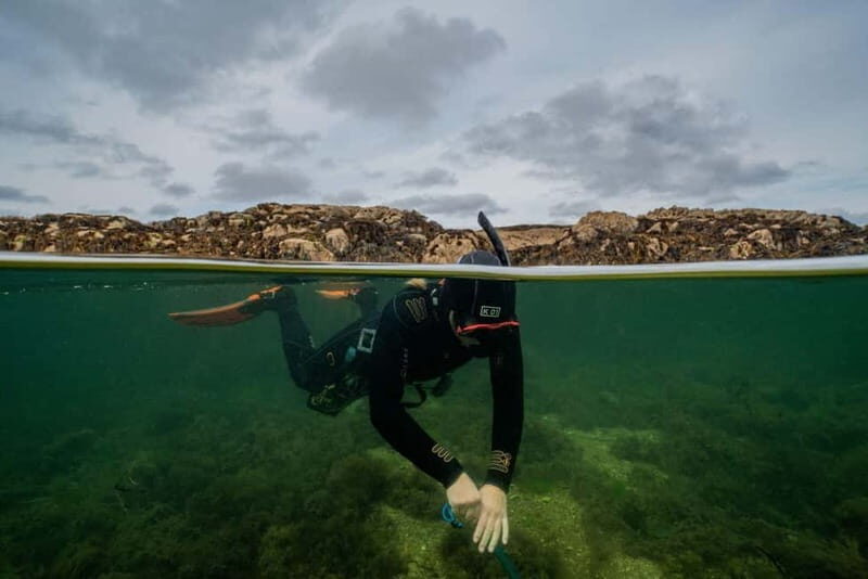 Coral Beach Snorkeling Galway - What You Can Expect from the Coral Beach Snorkeling Tour