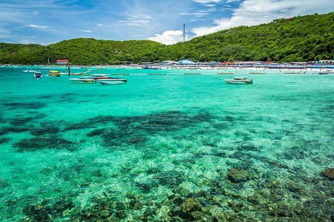 Coral Island Pattaya: Indian Lunch, Transfer, Hindi staff (India Travelers +AR) - What to Expect from the Coral Island Pattaya Tour