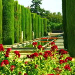Córdoba: Mosque-Cathedral, Jewish Quarter and Alcázar Tour - Practical Details and Tips