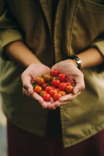 Corfu: Organic Farm and Olive Oil Tasting Tour - A Close Look at the Corfu Organic Farm and Olive Oil Tour