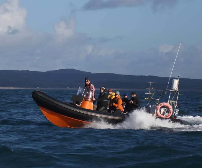Cornwall: 2 hour Wildlife Watching RIB Tour - Why This Tour Might Be Perfect for You