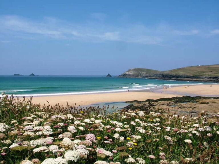 Cornwall: Beautiful and Wild, North Cornwall Guided Tour - Who Will Love This Tour?