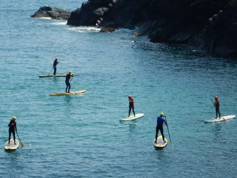 Cornwall: Stand-Up Paddleboarding Adventure on The Lizard - Who Will Love This Tour?