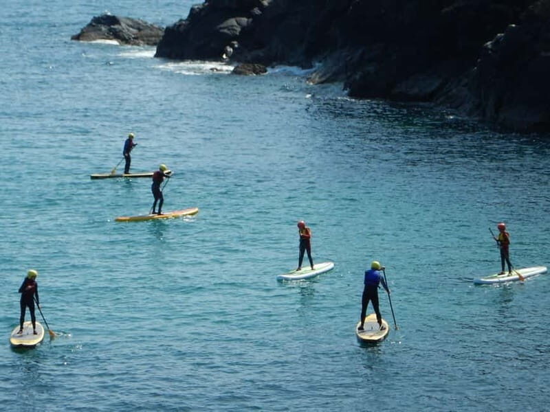 Cornwall: Stand-Up Paddleboarding Adventure on The Lizard - Who Will Love This Tour?