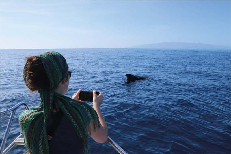 Costa Adeje: Whale Watching Eco Experience with Hydrophone. - What’s Included and Practical Details