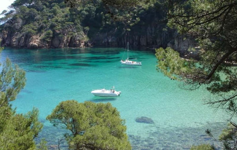 Costa Brava: tour and day trip by boat among hidden coves - Why the Views Are a Highlight