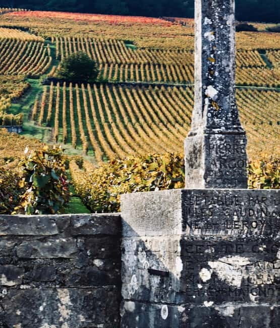 Côte de Nuits: 2h30 excursion among the vines - What Makes This Tour Stand Out?