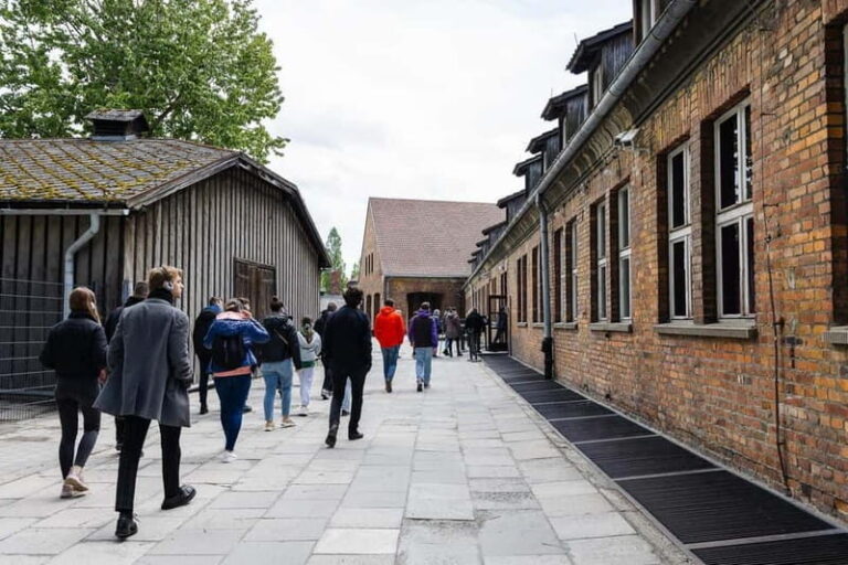 Cracow: Auschwitz-Birkenau Self-Guided Tour - On Request - An Honest Look at the Auschwitz-Birkenau Experience