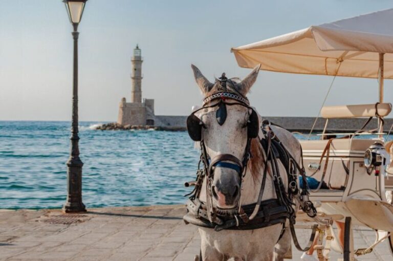 Crete: Chania, Kournas and Rethymno Private Guided Tour - What’s Included and What’s Not