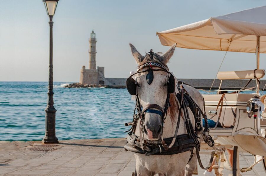 Crete: Chania, Kournas and Rethymno Private Guided Tour - What’s Included and What’s Not