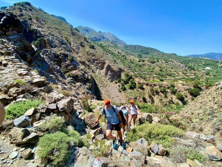 Crete: Guided Hiking Tour, Kavousi Canyon & Swimming - Exploring the Details: What This Tour Offers