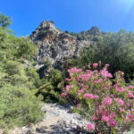 Crete: Kritsa Canyon Guided Hiking Tour - The Itinerary in Detail