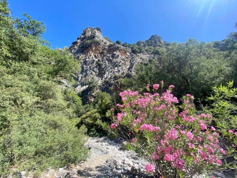 Crete: Kritsa Canyon Guided Hiking Tour - The Itinerary in Detail