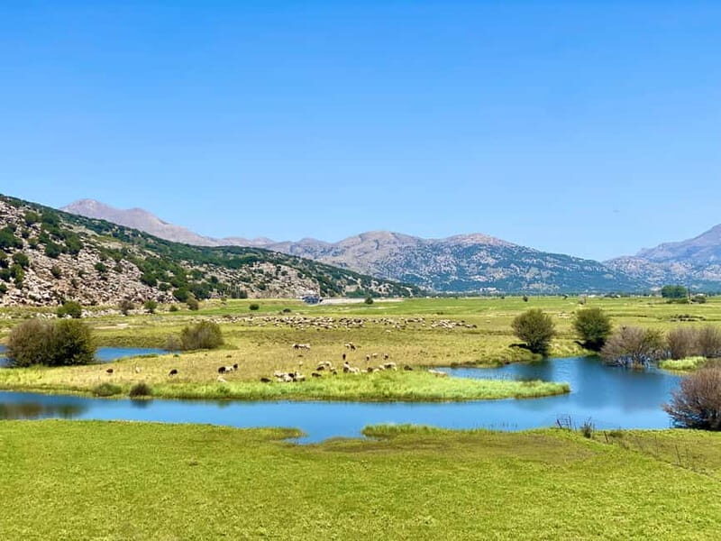 Crete: Lassithi Plateau Guided Hiking Tour