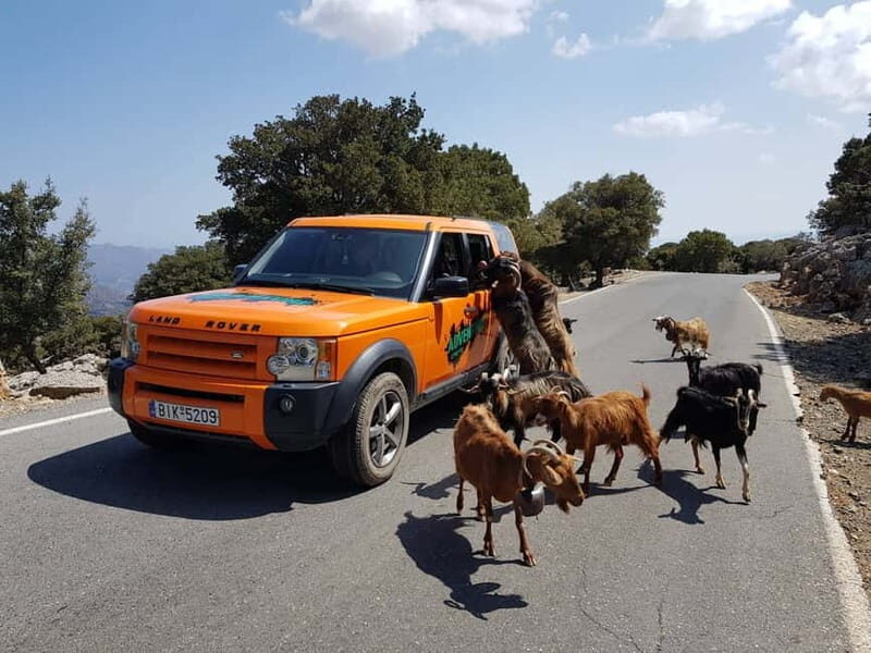 Crete: Sarakina Gorge, Forests, and South Coast Safari - Scenic Drives and Mountain Villages