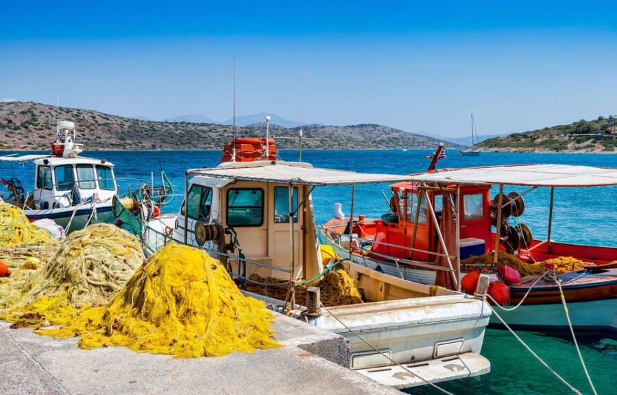Crete: Spinalonga, Agios Nikolaos and Olive Oil Farm Tour - A Deep Dive into the Experience