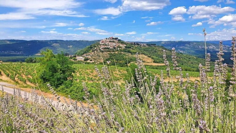 Croatia, Istria: 7-Day Premium Cycling & Gourmet E-Bike Tour - How the Itinerary Works