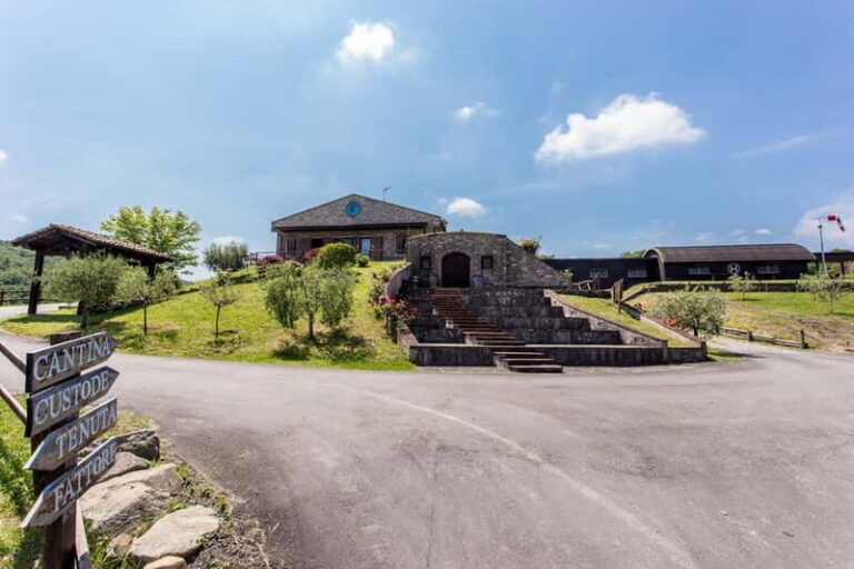 Cultural Tasting: 5 glasses with 5 food pairings - Is This Tour Worth It?