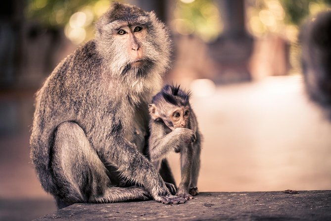 Customized Private Day Trip: Create your own tour itinerary - Key Points