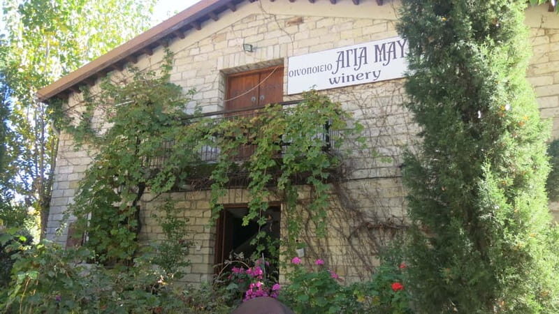 Cyprus: Troodos Mountain Wine Tour with a Local - Transportation & Group Size