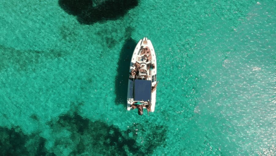 Da Trapani: Escursione alle isole Egadi Favignana & Levanzo - Water Activities and Cultural Highlights