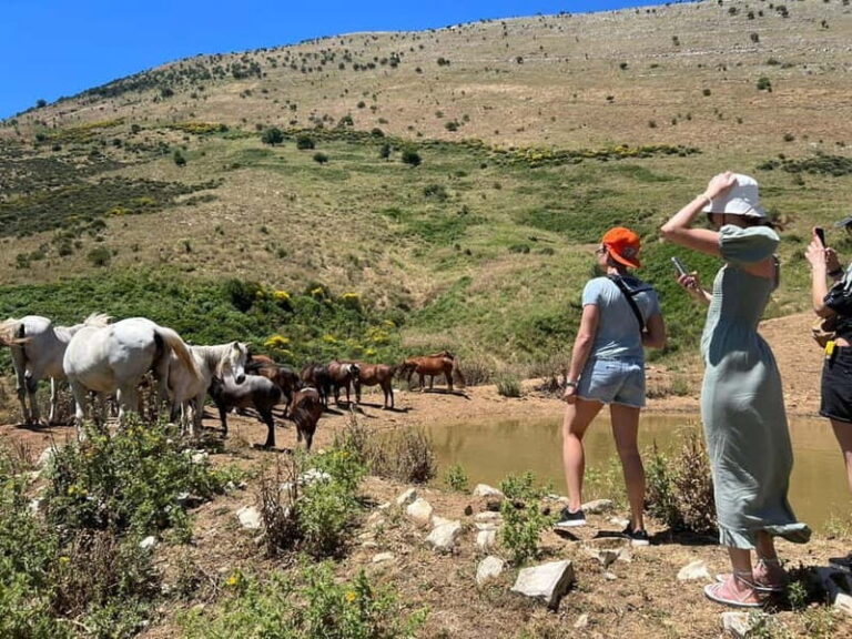 Daily Trip To:Blue Eye,Monastery,Gjirokaster&Lekursi Castle - Practical Details & What It Means for You