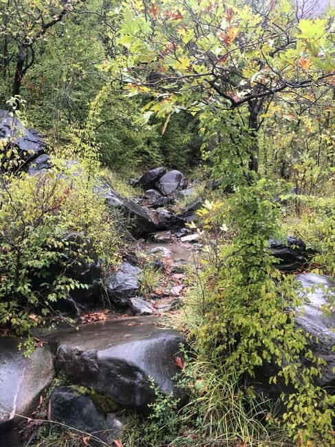 Dajti Cable Car and Shengjergj Waterfall Tour with Lunch - Practical Details and Value