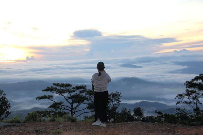 Dalat: Sunrise Trekking and Cloud Hunting experience - The Experience at a Glance