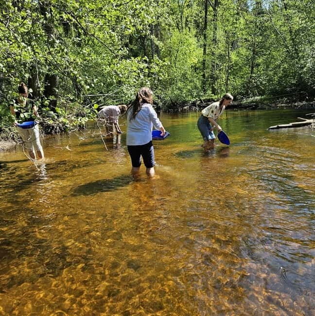 Dals Långed: Gold Panning Experience - Practical Details and Tips