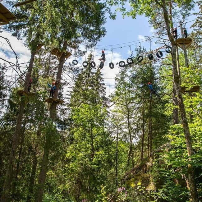 Dals Långed: High Ropes Adventure for Adults and Kids - What to Expect from the High Ropes Adventure at Dals Långed